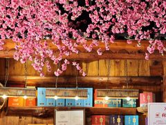 -张关合渣(朱家坳店)