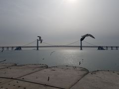 -星海湾跨海大桥