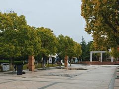 -紫薇公园