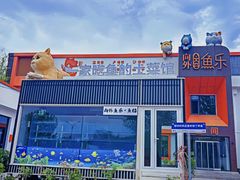-向外鱼乐·土菜·虹鳟鱼