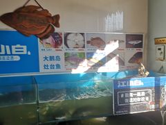 -大鹅岛灶台鱼·铁锅炖(水库路店)