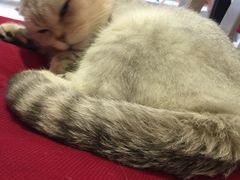 -MIKAKU(万达广场上海宝山店)