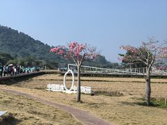 -艾米稻香小镇
