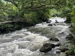 -广州市石门国家森林公园