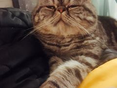 -PETKIT 小佩宠物·低压洗护·美容·寄养(安远店)