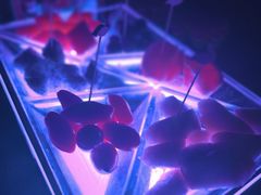 -斯卡拉演艺集团