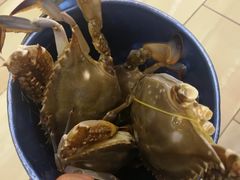 -澜悦港海鲜体验主题餐厅