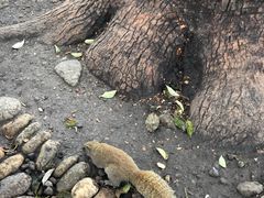 -西湖外事游船(湖滨二公园外事游船码头)