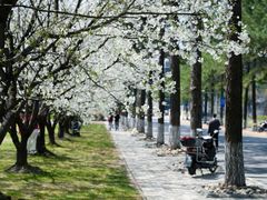 -同济大学(嘉定校区)