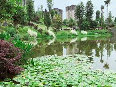 -枫香湖儿童公园