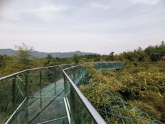 -陶祖圣境风景区