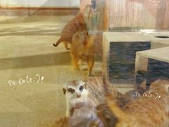 -成都欢乐谷