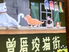 门面-有猫主题·治愈系猫咖(曾厝垵店)