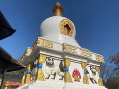 -护国法轮寺