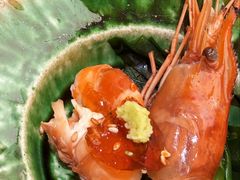 -鮨政· Omakase(港汇恒隆广场店)