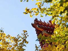 -故宫博物院(故宫)