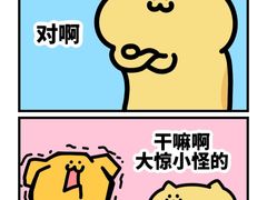 -纳吉亚猫专科动物医院博雅分院