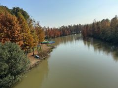 -上海长兴岛郊野公园