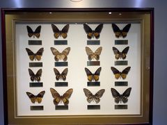 -上海昆虫博物馆