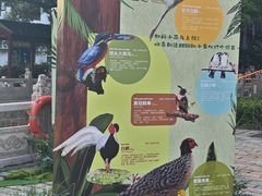 -安亭老街