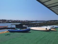 -春花秋色城市公园