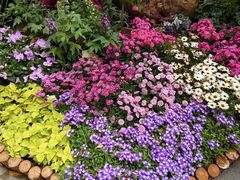 -人民公园(罗湖区)