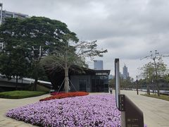 -深圳湾公园(南山区)