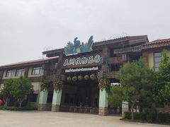 -南宫五洲植物乐园