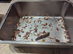 -成都诺亚8号酒店