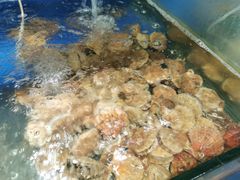 -雅逸居海鲜小厨