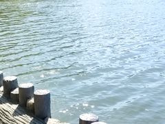 -大兴滨河森林公园