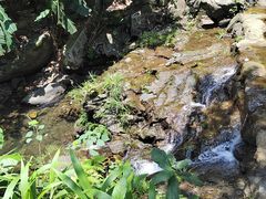 -梧桐山风景名胜区