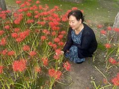 -西安浐灞国家湿地公园