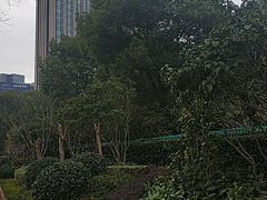 -上海宝华万豪酒店