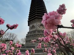 -玲珑塔公园