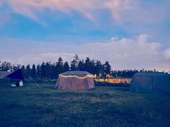 -春花秋色城市公园