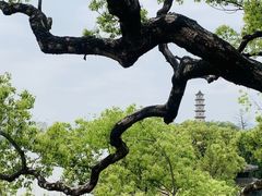 -江心屿景区