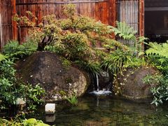 -凤凰山斑鱼馆(恭城店)