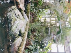 -南宫五洲植物乐园