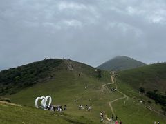 -大姆山草场