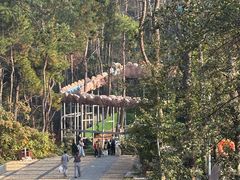 -青龙山国家森林公园