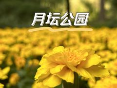 -月坛公园
