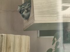 -青藏高原野生动物园