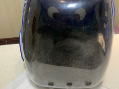 -宠爱国际动物医院· 猫科· 外科·中兽医(长白店)