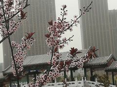 景点-西海子公园