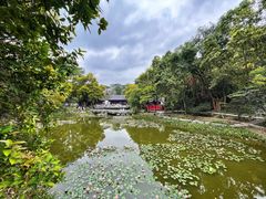 -深圳国际园林花卉博览园