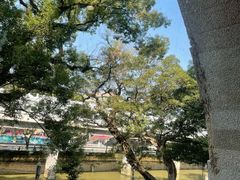 -广东胜利宾馆西关粤中餐厅