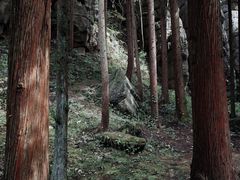 -梭布垭石林景区