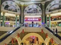 -AMG海上明珠影城(上海环球港RealDCinema店)