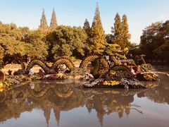 -汇龙潭